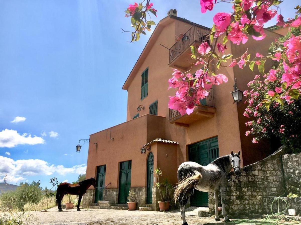 Country Sicily Home Фавара Екстер'єр фото
