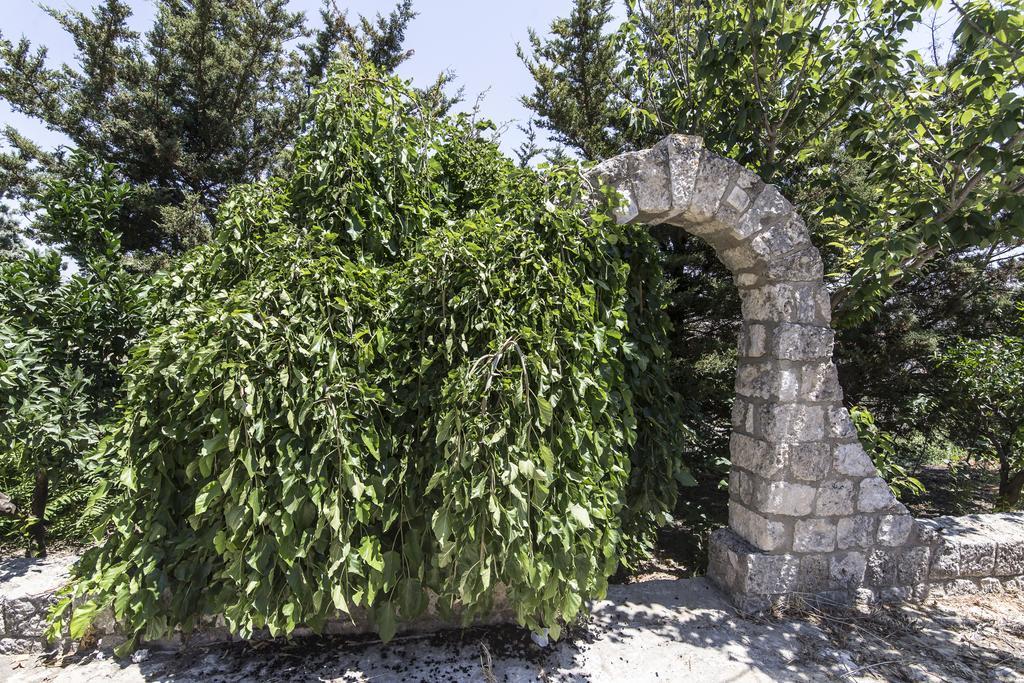 Country Sicily Home Фавара Екстер'єр фото